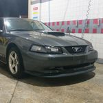 Profile Picture of Alexander Glazier (@grey_stang1) on Instagram