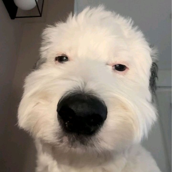 Profile Picture of Braydŵnloveslacy (@braydnloveslacy) on Tiktok