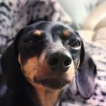 Profile Picture of KyleeMitchell (@kyleemitchell99) on Instagram