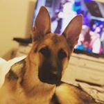 Profile Picture of Mitchell Mullins (@mullinswelding) on Instagram