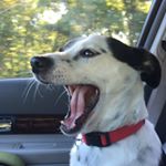 Profile Picture of Myra Lowe (@daylowe77) on Instagram