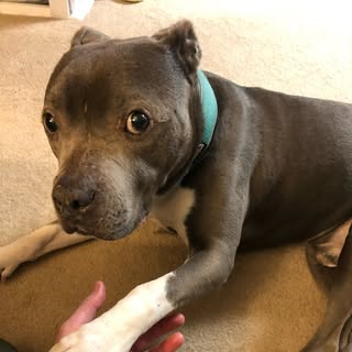 Profile Picture of Jason Kott (@jasonkott) on Instagram