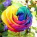 Profile Picture of Santina Alexandrini (@santina.alexandrini.3) on Facebook