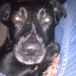 Profile Picture of Horvath Leon (@leon526511) on Twitter