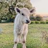 Profile Picture of Ellen Anable (@@ellenanable) on Tiktok