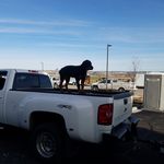 Profile Picture of John houghtaling (@houghtaling.john) on Instagram