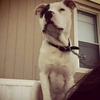 Profile Picture of Justin Conway (@@justinconway1) on Tiktok