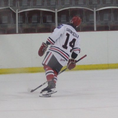 Profile Picture of Leo DeSouza (@8_LeoTheLion_8) on Twitter