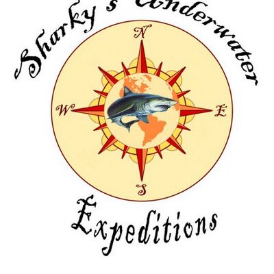 Profile Picture of Mark Alexander FRGS (@Sharkyexped) on Twitter