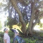 Profile Picture of Mark Sturges (@mark.sturges.921) on Instagram
