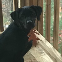 Profile Picture of Robin Grey (@robin-grey-11) on Quora