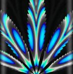 Profile Picture of Kevin Trumble (@kevin.trumble.3910) on Facebook
