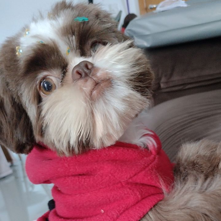Profile Picture of maribinski (@romeobinski) on Tiktok
