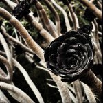 Profile Picture of Chris Hafner (@vaderhafner) on Instagram