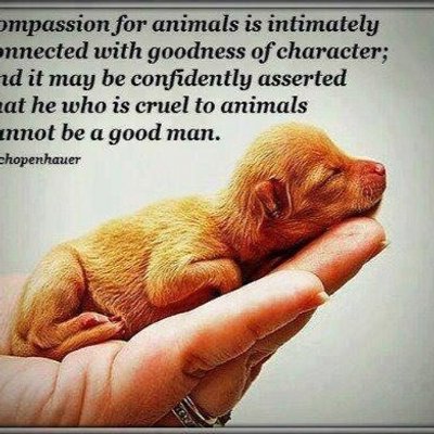 Profile Picture of Darian Iskandar (@DarianAndy) on Twitter