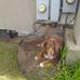 Profile Picture of Gary Tetreault (@gary.tetreault.31) on Facebook