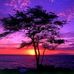 Profile Picture of Daniel Rosiles (@daniel.rosiles.716) on Facebook
