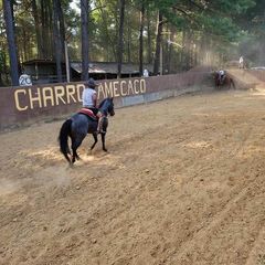 Profile Picture of aaroncastro957 (@aaroncastro957) on Tiktok