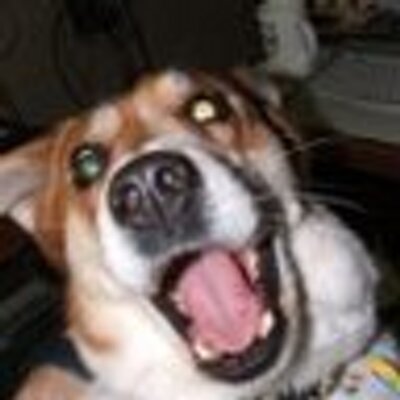 Profile Picture of David Kieras (@djkieras) on Twitter