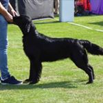 Glenn Nødtvedt - Instagram Profile Picture of Glenn Nødtvedt (@glennnodtvedt) on Instagram