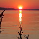 Profile Picture of Annette Schelletter (@annetteschelletter) on Instagram