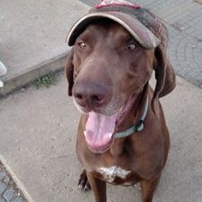 Profile Picture of Mike Plucker (@mkplucker) on Twitter