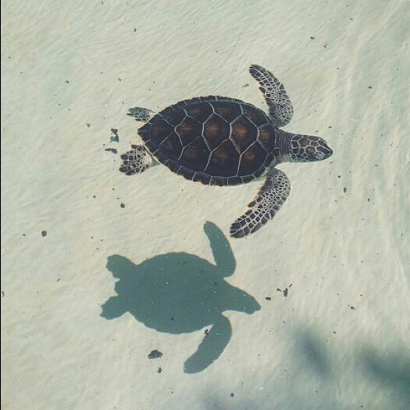 Profile Picture of Jess Alvarez (@jalvarex) on Poshmark