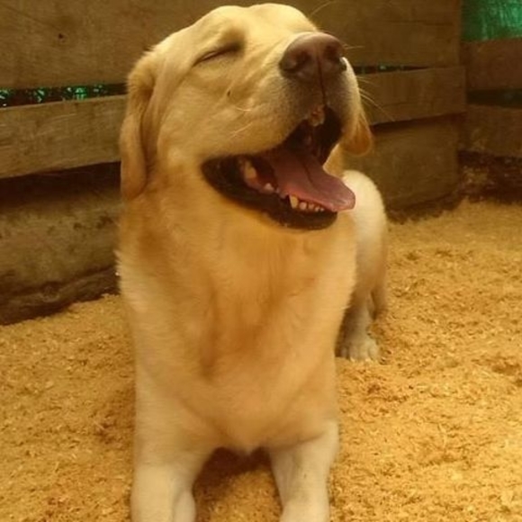 Profile Picture of Sol Bedoya (@solbedoya) on Poshmark