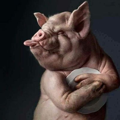 Profile Picture of David Krol (@dawokralo) on Twitter