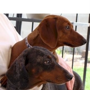 Profile Picture of Barbara Emery (@spring400) on Myspace