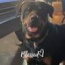 Profile Picture of Bryan Whitlock (@bryan.whitlock.750) on Facebook