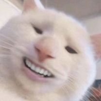 Profile Picture of Kocsis David (@KocsisDavid8) on Twitter