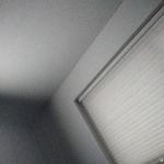 jamss David bagent - Instagram Profile Picture of jamss David bagent (@jamssdavidbagent) on Instagram