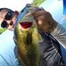 Profile Picture of Nick Linnell (@nick.linnell.52) on Facebook