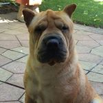 Profile Picture of Berta Munoz (@berta.munoz.5011) on Instagram