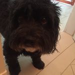 Profile Picture of Adam Kessler (@kessler.adam) on Instagram