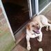 Profile Picture of Ken DeGroot (@ken.degroot.568) on Facebook