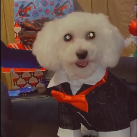 Heilyn Ovares - Poshmark Profile Picture of Heilyn Ovares (@hleya978) on Poshmark