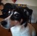 Profile Picture of Michael Schaal (@michael.schaal.560) on Facebook