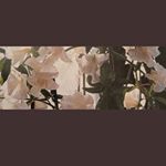 Profile Picture of Eric Roland (@ericroland011) on Instagram