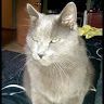 Profile Picture of Matthew Hoagland (@matthewhoagland55) on Pinterest