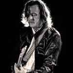 Murray Cook - Instagram Profile Picture of Murray Cook (@cook.murray) on Instagram