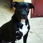 Profile Picture of Lucio Peña (@lucio.pena.39) on Instagram