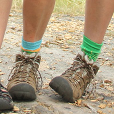 Profile Picture of Danielle Gauthier (@@inkneesocks) on Twitter