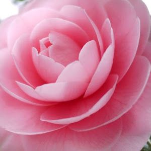 Profile Picture of ngoziejim813 (@ngoziejim813) on Tiktok