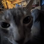 Profile Picture of Caleb Evans (@caleb.evans.3363) on Facebook