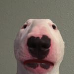 Profile Picture of Tommy Padilla (@tomm.y1683) on Instagram