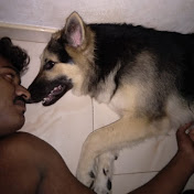 Profile Picture of Amila Shantha (@amilashantha313) on Youtube