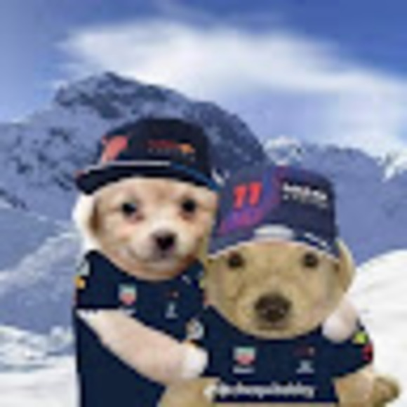 Profile Picture of Jonathan Palacios (@owo0584) on Poshmark