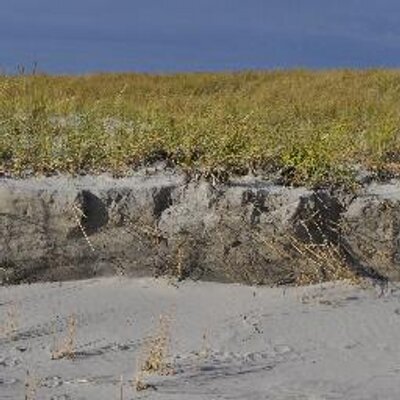 Profile Picture of Randall Mason (@RFMPennDesign) on Twitter